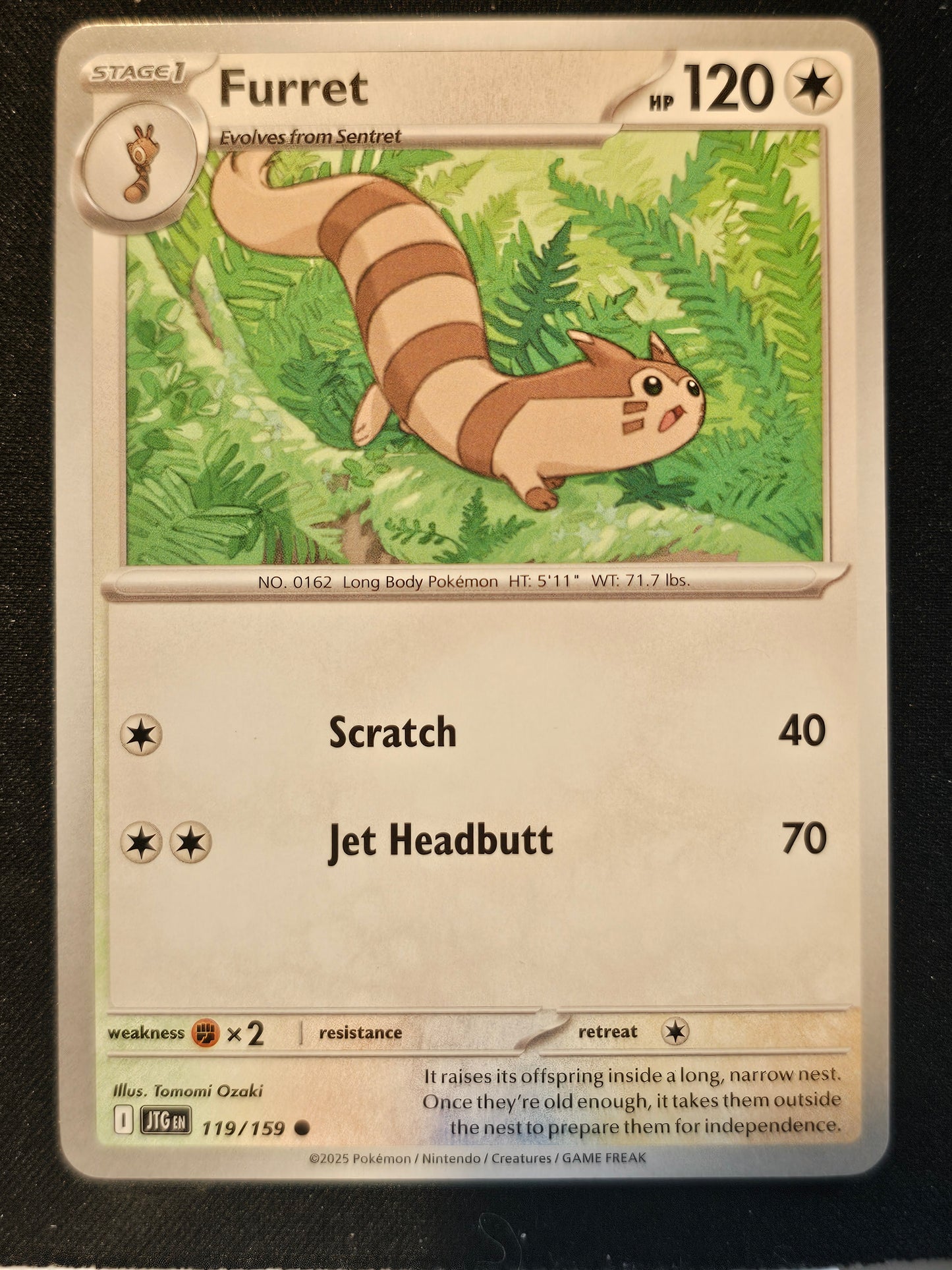 SV09: Journey Together #119/159 Furret