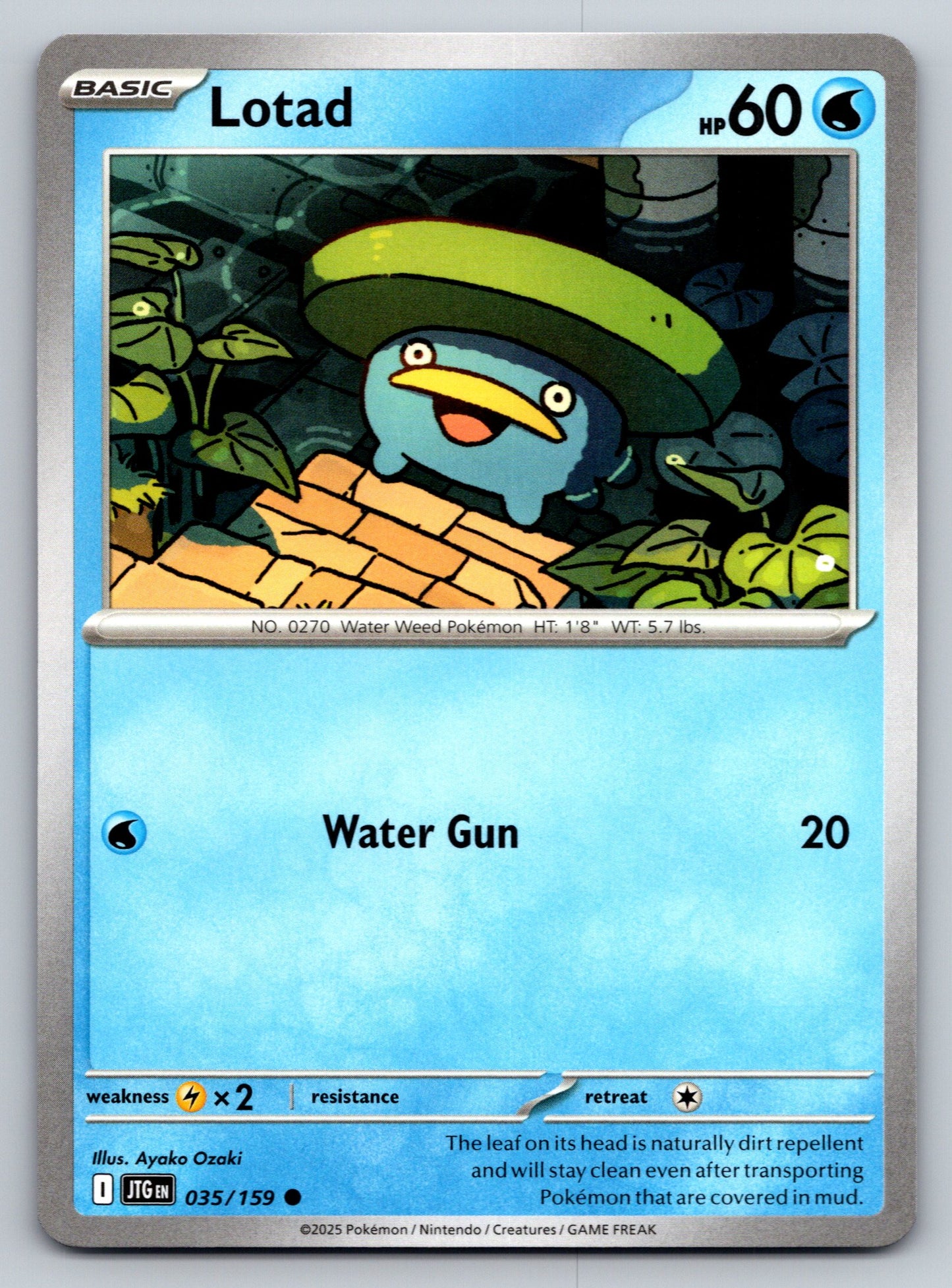 SV09: Journey Together #035/159 Lotad