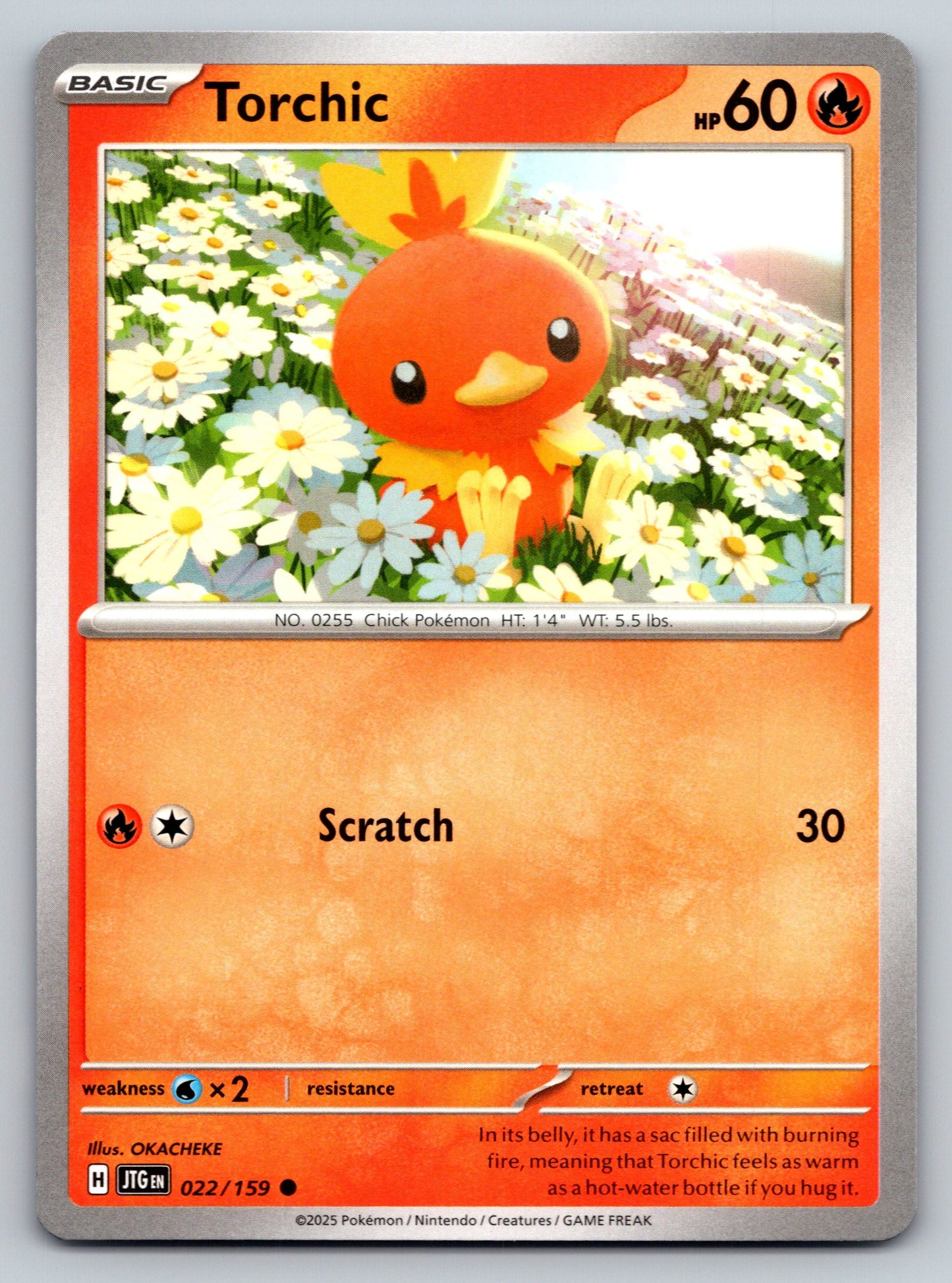 SV09: Journey Together #022/159 Torchic