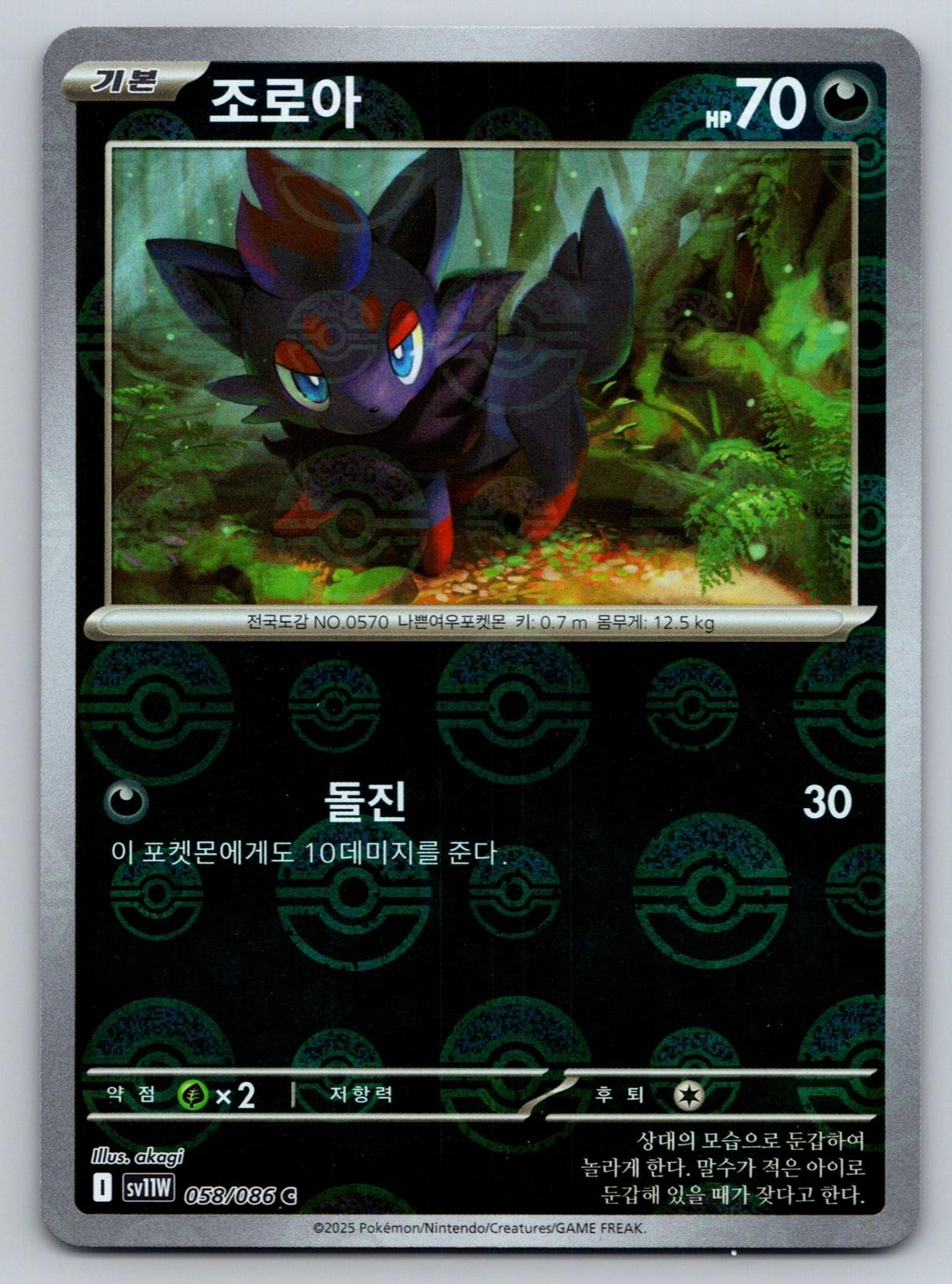 Korean White Flare #058/086 Zorua Master Ball holo