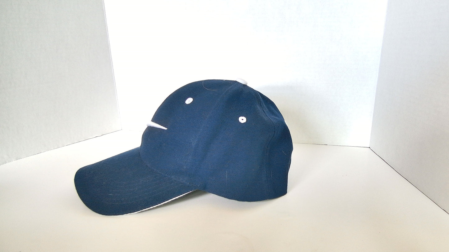 Nike Blue Baseball Cap